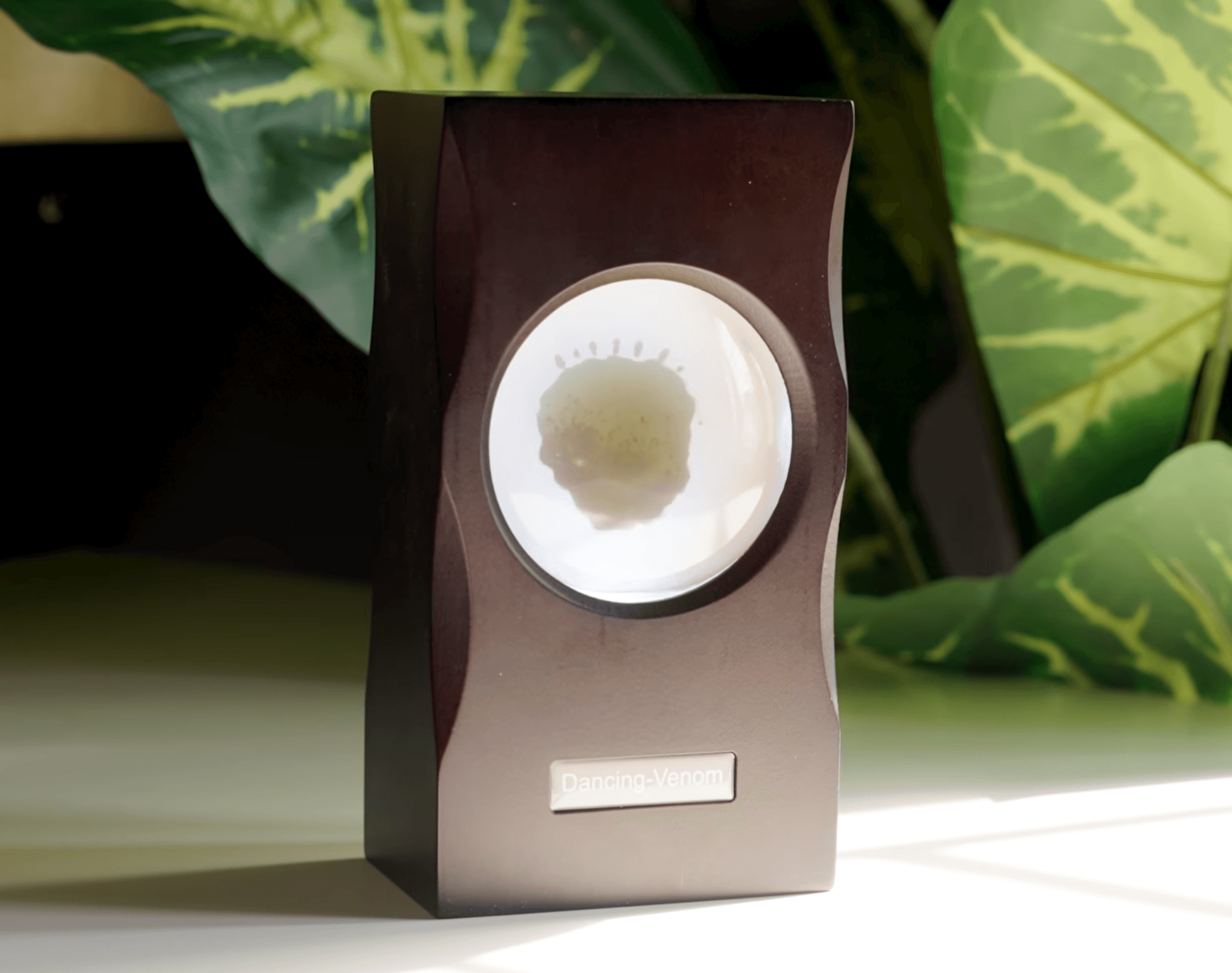 Ferrofluid speaker with reactive black liquid in a glass chamber